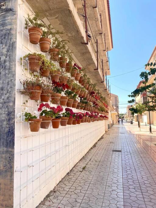 Casa Naranja Los Alcázares Exterior foto